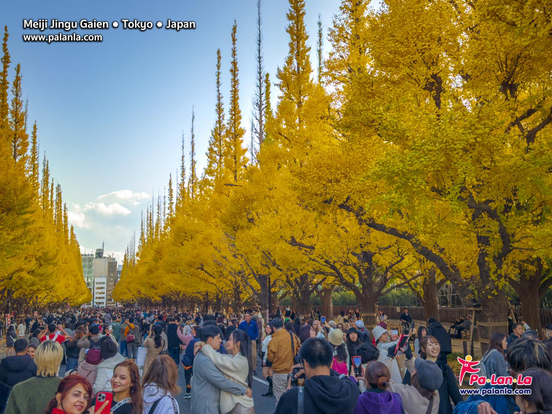 Meiji Jingu Gaien